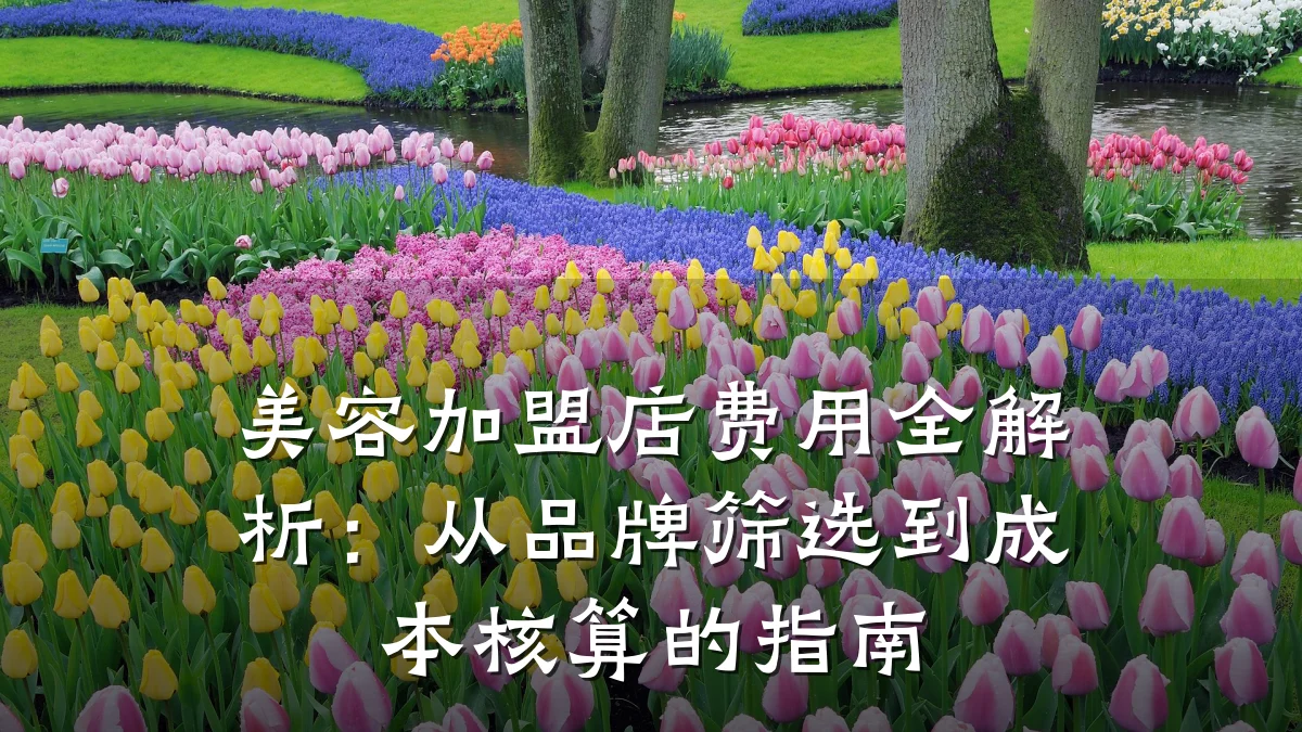 美容加盟店费用全解析:从品牌筛选到成本核算的指南