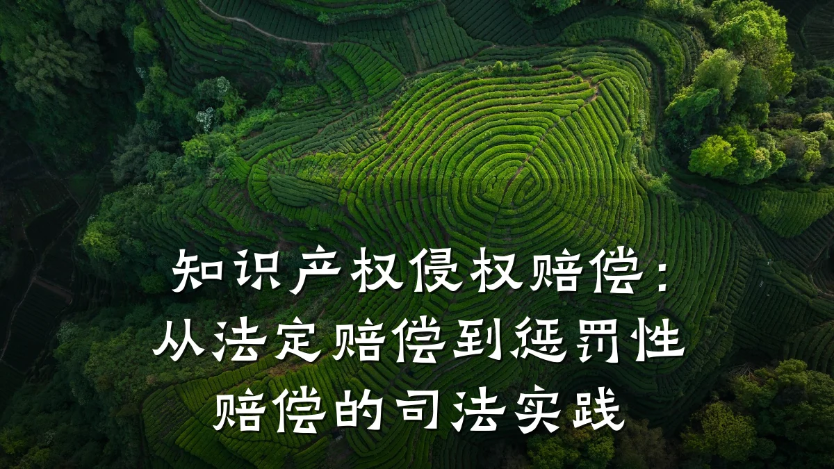 知识产权侵权赔偿:从法定赔偿到惩罚性赔偿的司法实践