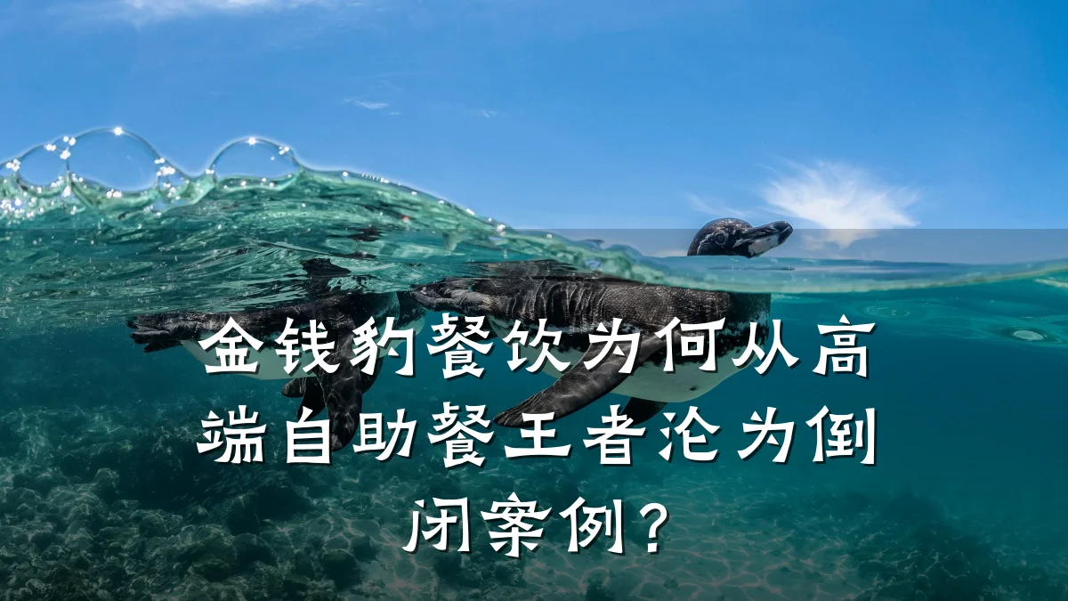 金钱豹餐饮为何从高端自助餐王者沦为倒闭案例？