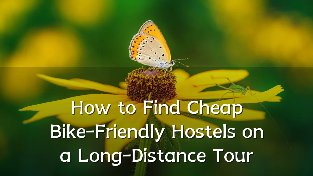 How to Find Cheap Bike-Friendly Hostels on a Long-Distance Tour