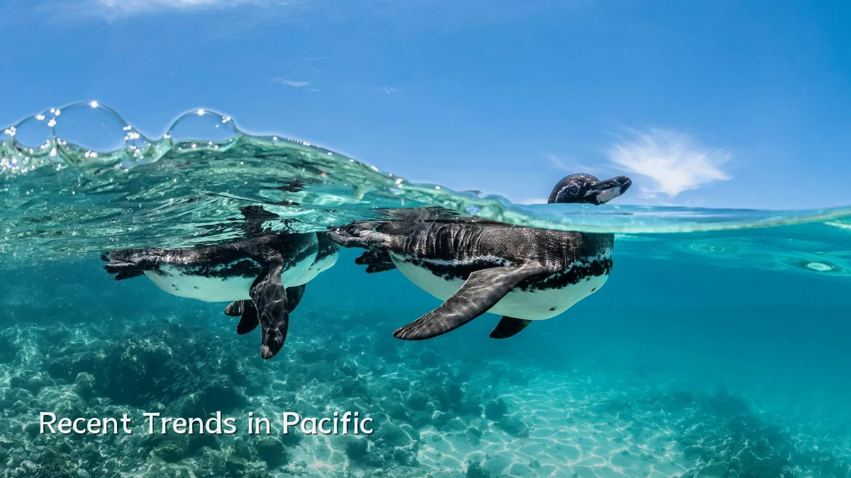 Recent Trends in Pacific