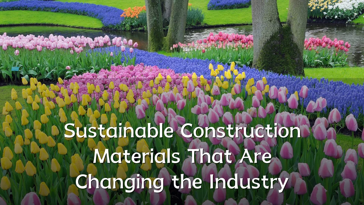 Sustainable Construction Materials That Are Changing the Industry