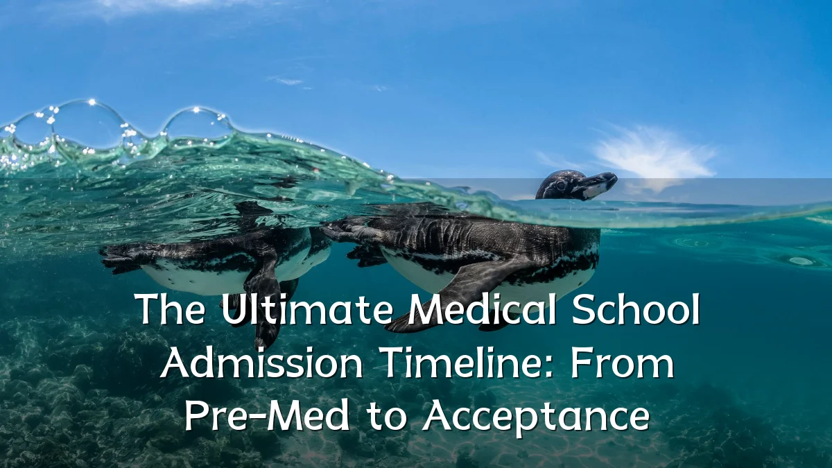 The Ultimate Medical School Admission Timeline: From Pre-Med to Acceptance
