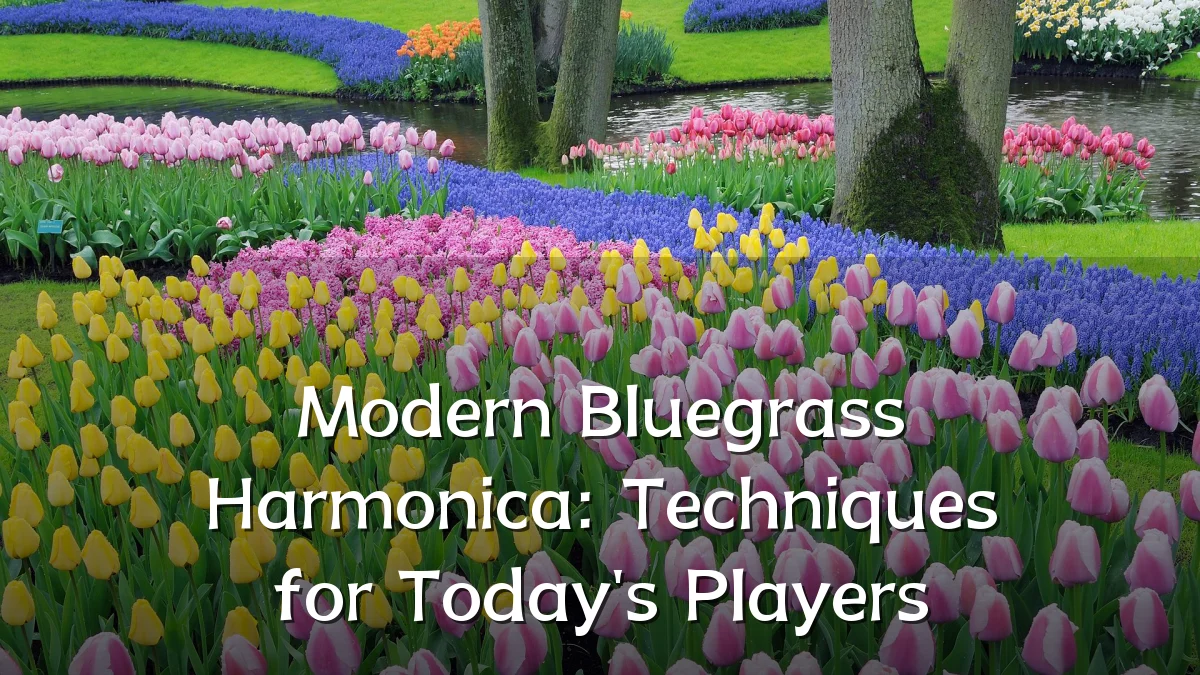 Modern Bluegrass Harmonica: Techniques for Today's Players