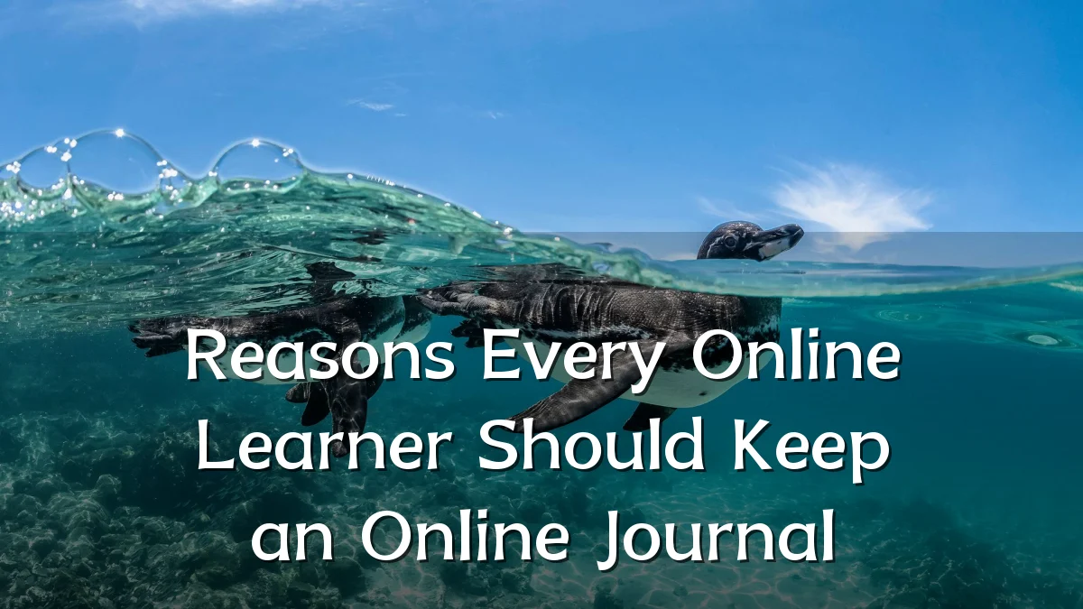 Reasons Every Online Learner Should Keep an Online Journal