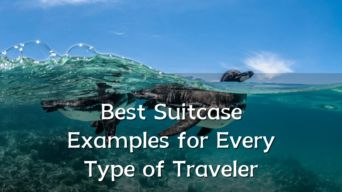 Best Suitcase Examples for Every Type of Traveler