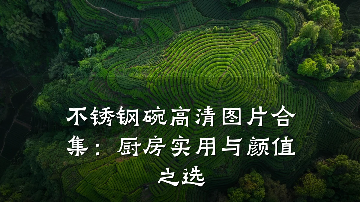 不锈钢碗高清图片合集:厨房实用与颜值之选