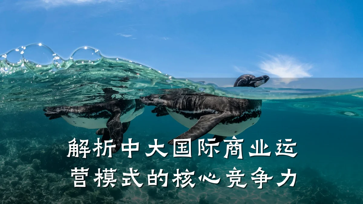 解析中大国际商业运营模式的核心竞争力