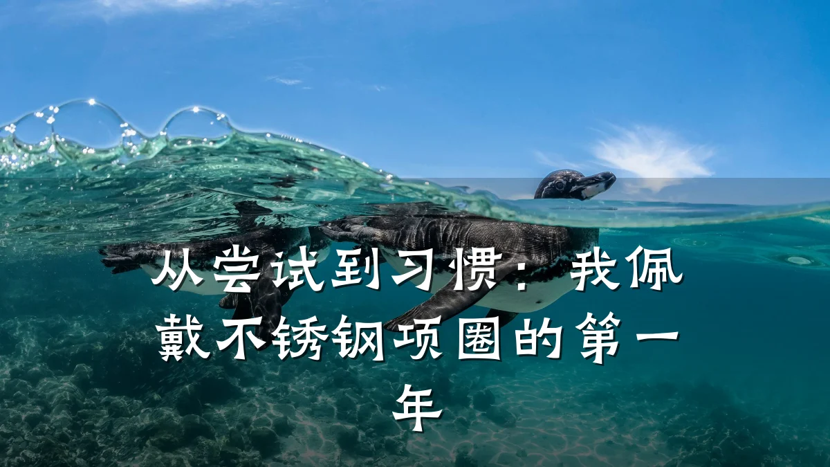 从尝试到习惯:我佩戴不锈钢项圈的第一年