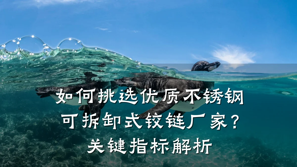 如何挑选优质不锈钢可拆卸式铰链厂家？关键指标解析