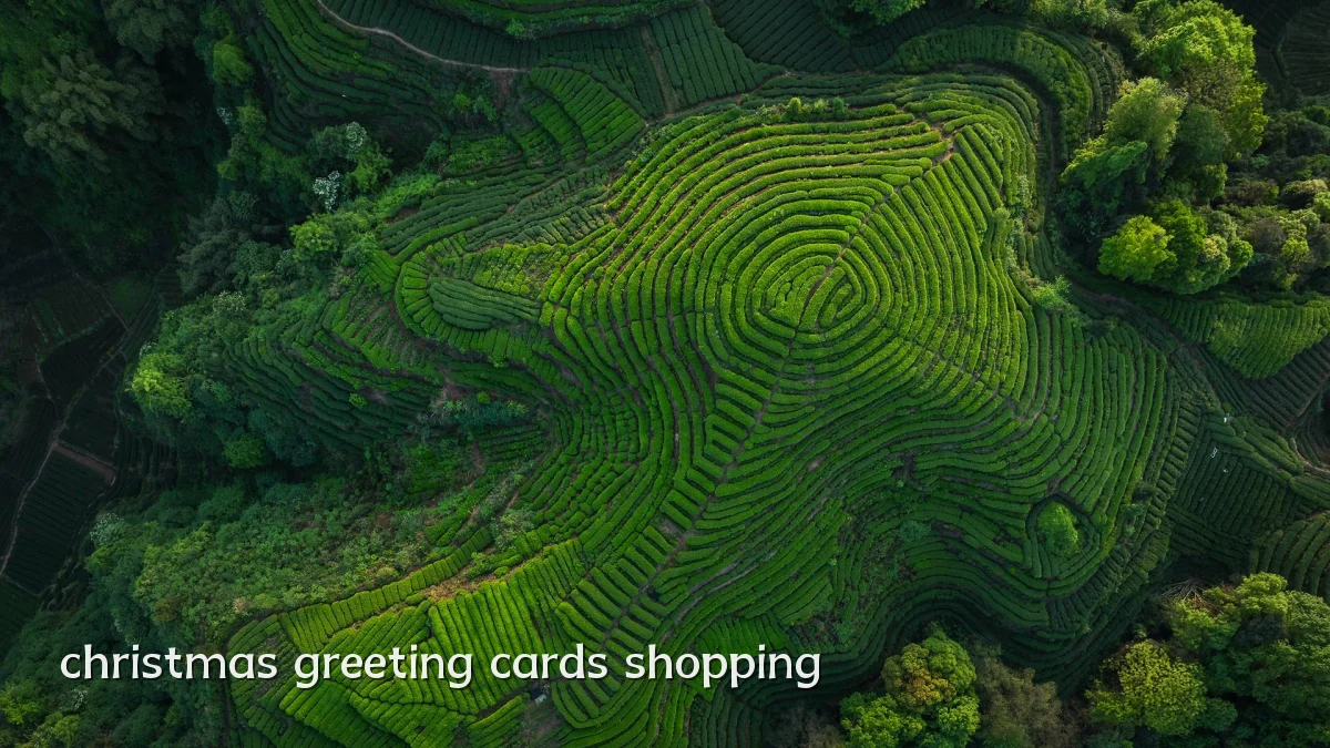 christmas greeting cards shopping