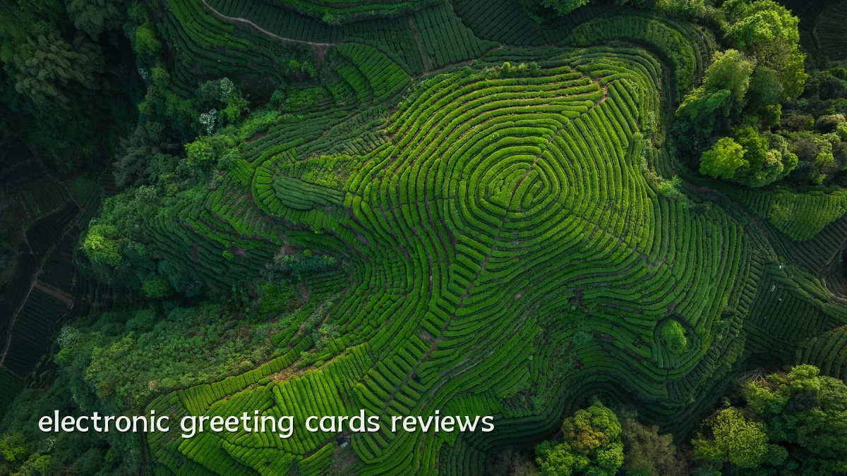 electronic greeting cards reviews