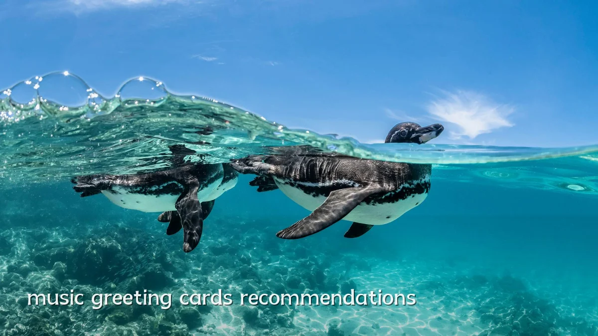 music greeting cards recommendations