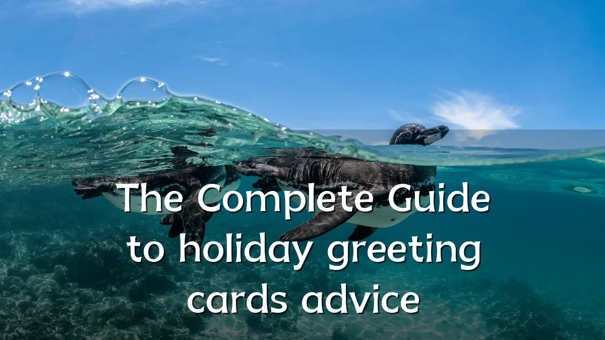 The Complete Guide to holiday greeting cards advice
