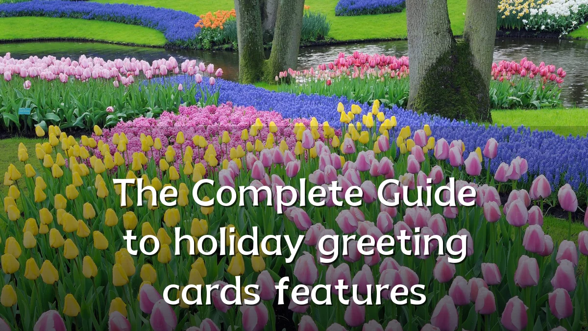 The Complete Guide to holiday greeting cards features