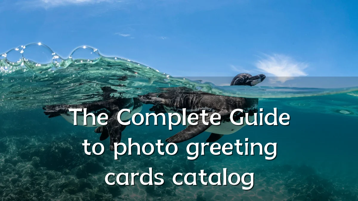 The Complete Guide to photo greeting cards catalog