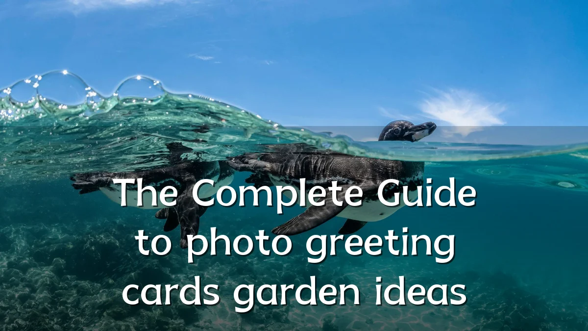 The Complete Guide to photo greeting cards garden ideas