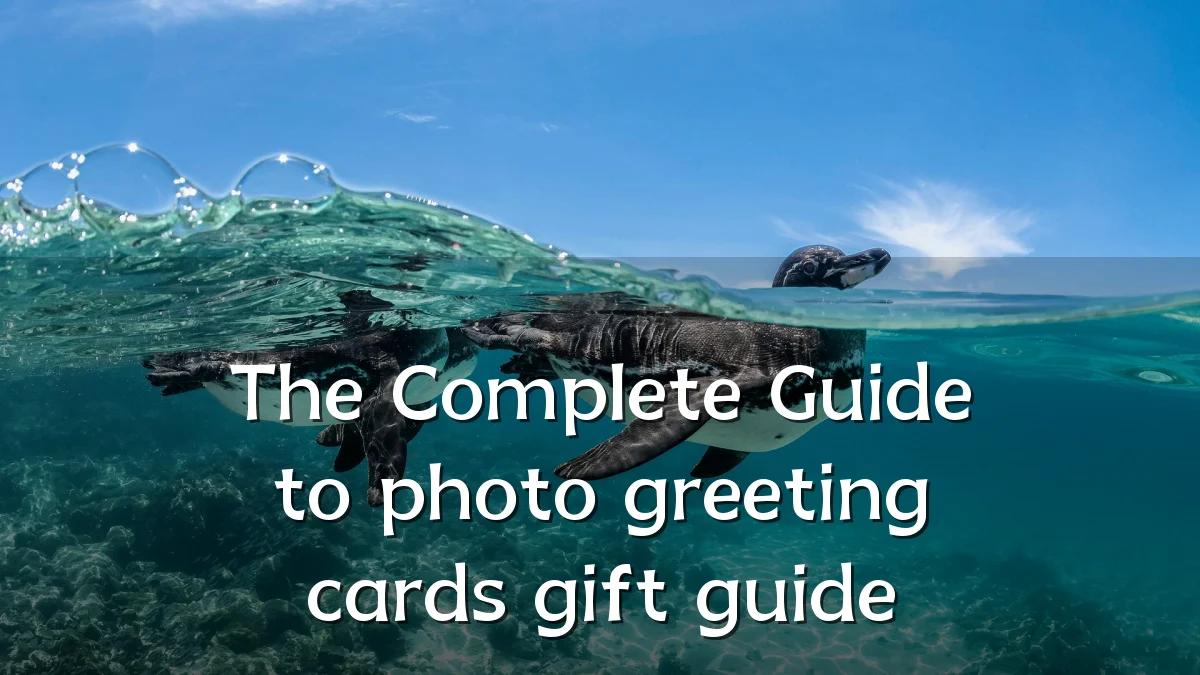 The Complete Guide to photo greeting cards gift guide