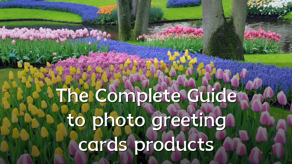 The Complete Guide to photo greeting cards products