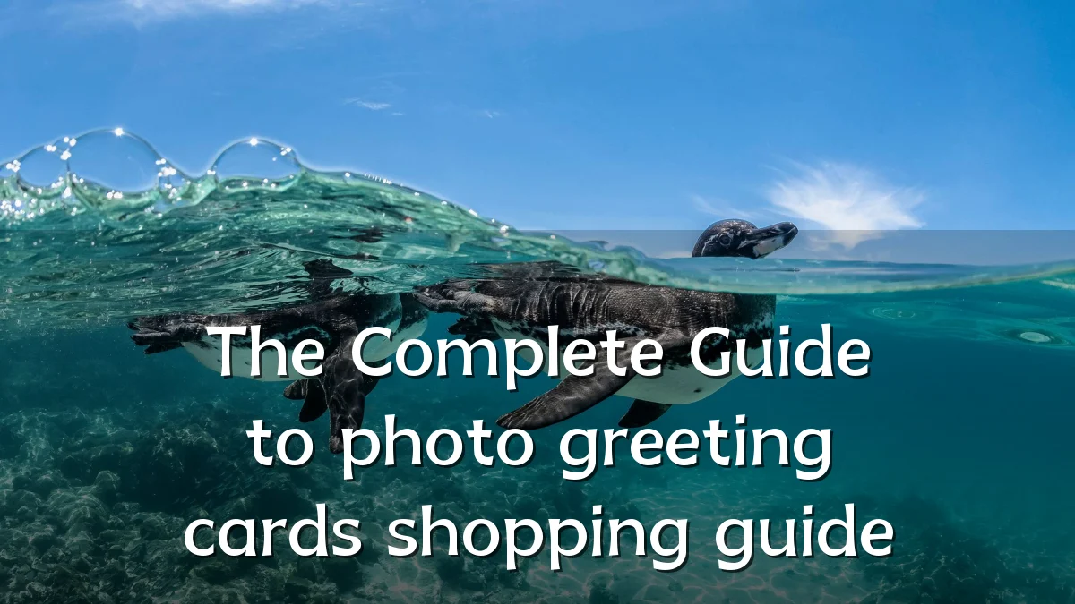 The Complete Guide to photo greeting cards shopping guide