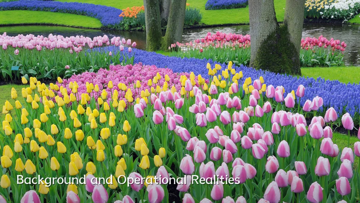 Background and Operational Realities