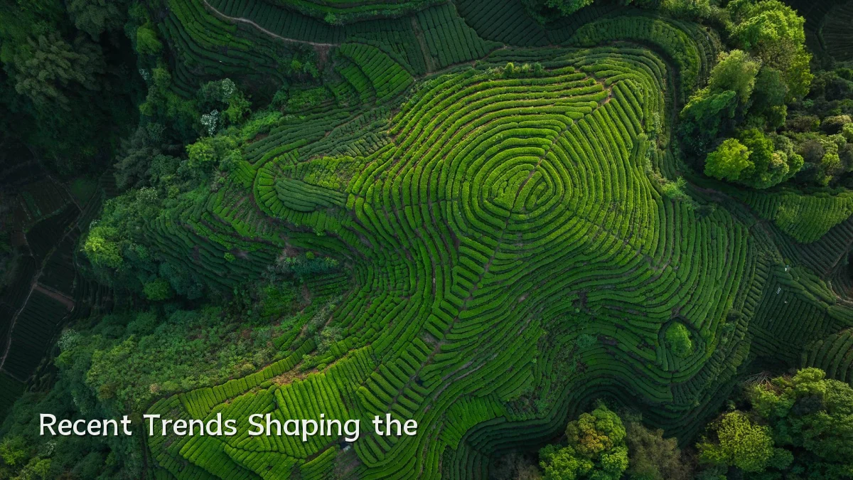 Recent Trends Shaping the