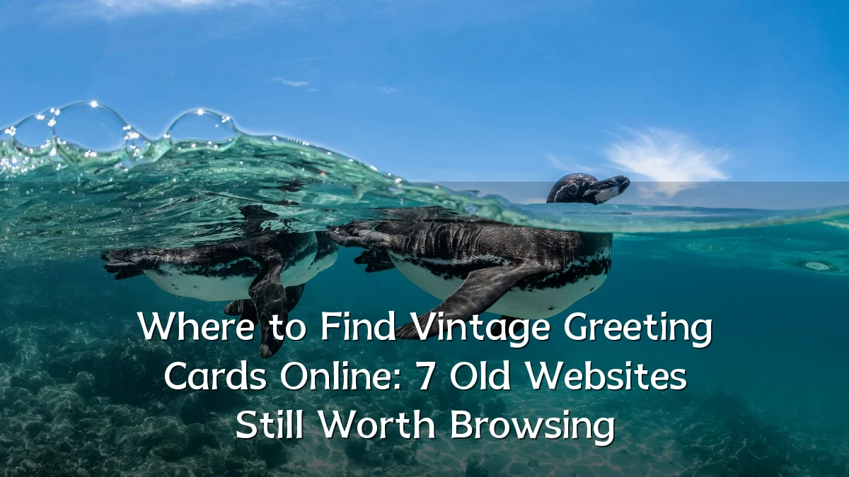 Where to Find Vintage Greeting Cards Online: 7 Old Websites Still Worth Browsing