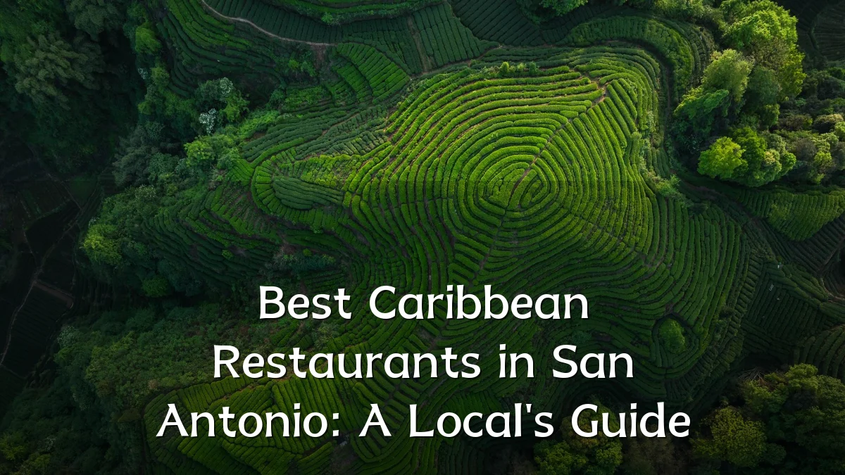 Best Caribbean Restaurants in San Antonio: A Local's Guide