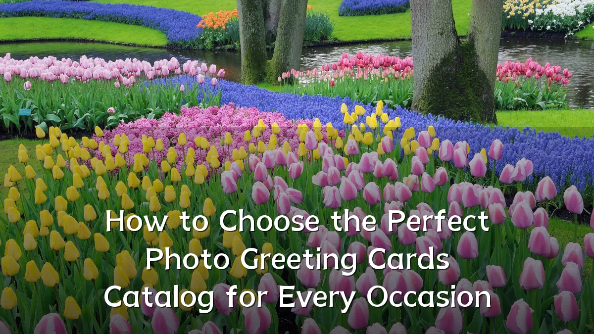 How to Choose the Perfect Photo Greeting Cards Catalog for Every Occasion