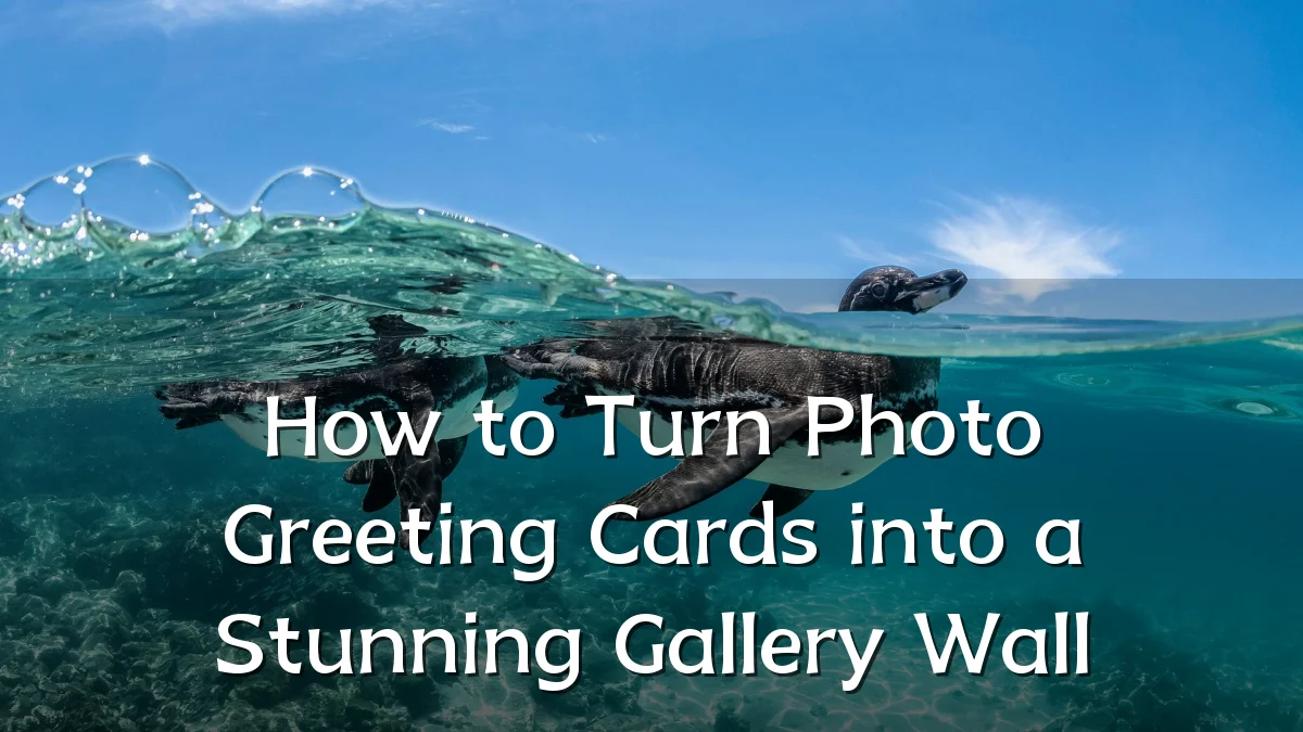 How to Turn Photo Greeting Cards into a Stunning Gallery Wall