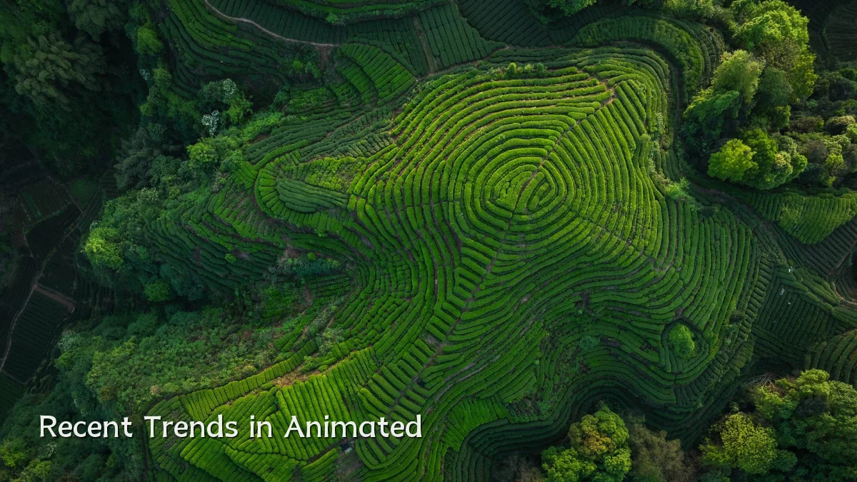 Recent Trends in Animated