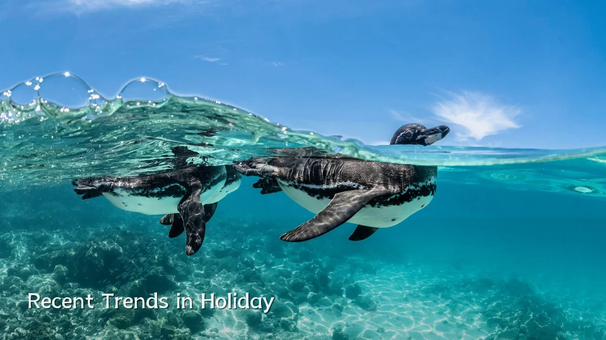 Recent Trends in Holiday