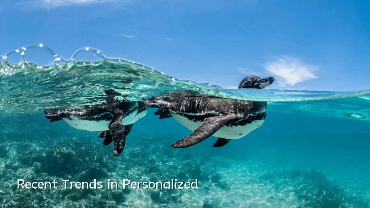 Recent Trends in Personalized