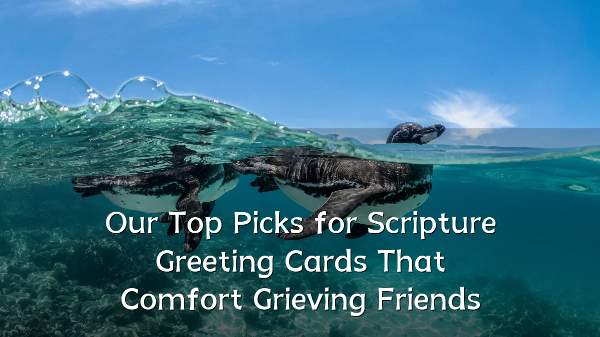 Our Top Picks for Scripture Greeting Cards That Comfort Grieving Friends