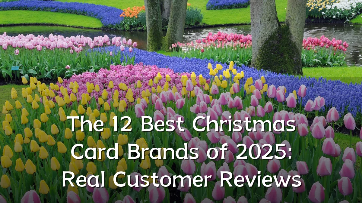 The 12 Best Christmas Card Brands of 2025: Real Customer Reviews