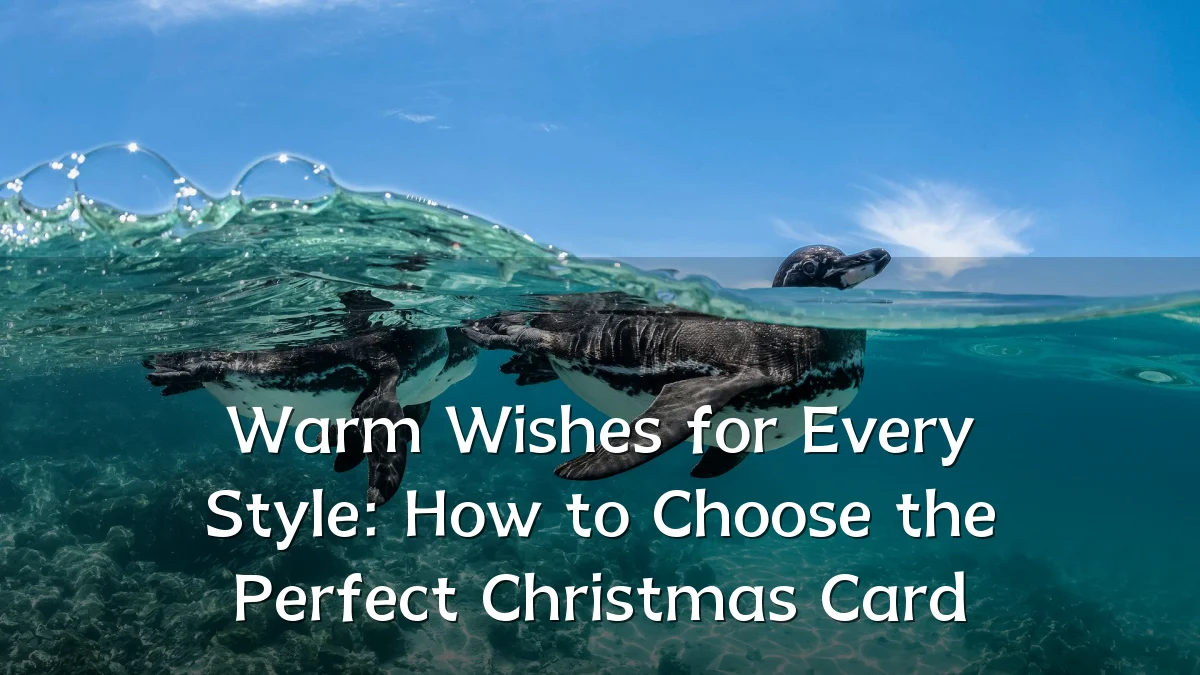 Warm Wishes for Every Style: How to Choose the Perfect Christmas Card