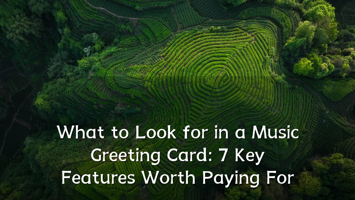 What to Look for in a Music Greeting Card: 7 Key Features Worth Paying For