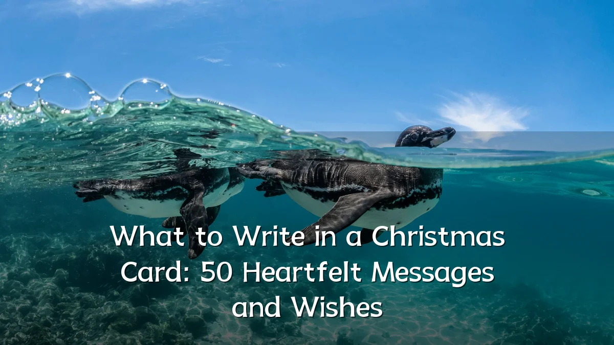 What to Write in a Christmas Card: 50 Heartfelt Messages and Wishes